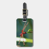 Frontal Red and Black Dragonfly Gepäckanhänger (Vorderseite vertikal)