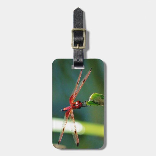 Frontal Red and Black Dragonfly Gepäckanhänger (Vorderseite vertikal)
