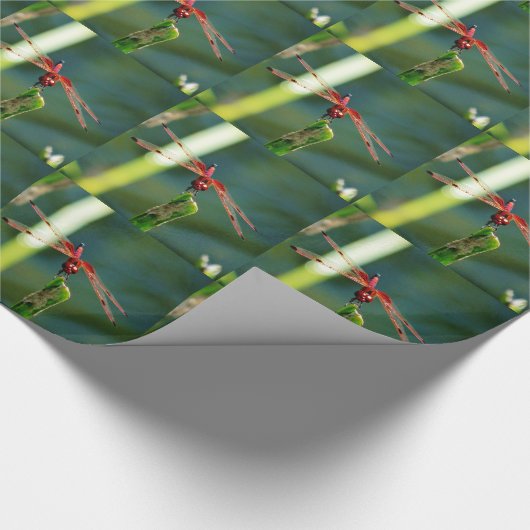 Frontal Red and Black Dragonfly Geschenkpapier (Ecke)