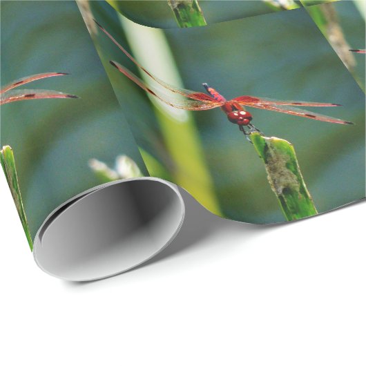 Frontal Red and Black Dragonfly Geschenkpapier (Rolleneckpunkt)