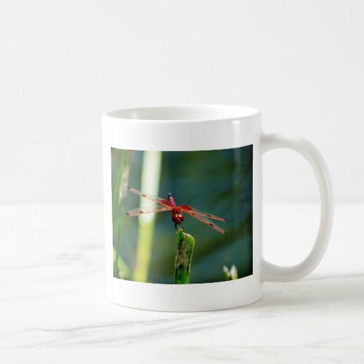 Frontal Red and Black Dragonfly Kaffeetasse (Rechts)