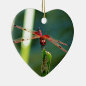 Frontal Red and Black Dragonfly Keramikornament (Rechts)