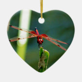 Frontal Red and Black Dragonfly Keramikornament (Vorne)