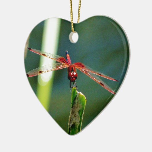 Frontal Red and Black Dragonfly Keramikornament (Links)