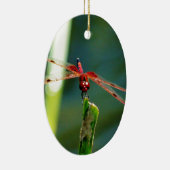 Frontal Red and Black Dragonfly Keramikornament (Rechts)