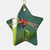 Frontal Red and Black Dragonfly Keramikornament (Links)