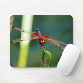 Frontal Red and Black Dragonfly Mousepad (Mit Mouse)