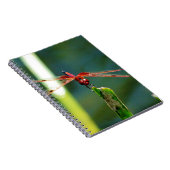 Frontal Red and Black Dragonfly Notizblock (Rechte Seite)