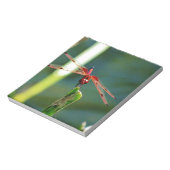 Frontal Red and Black Dragonfly Notizblock (Rotiert)