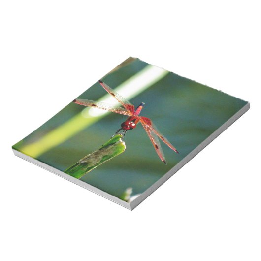 Frontal Red and Black Dragonfly Notizblock (Rotiert)