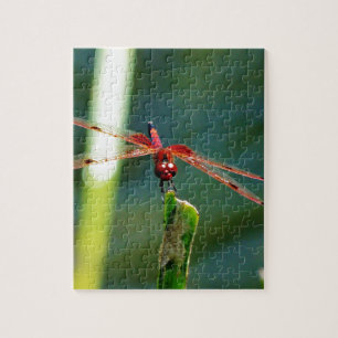 Frontal Red and Black Dragonfly Puzzle