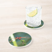 Frontal Red and Black Dragonfly Sandstein Untersetzer (Seite)