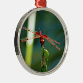 Frontal Red and Black Dragonfly Silbernes Ornament (Rechts)