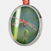 Frontal Red and Black Dragonfly Silbernes Ornament (Links)