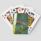 Frontal Red and Black Dragonfly Spielkarten (Rückseite)