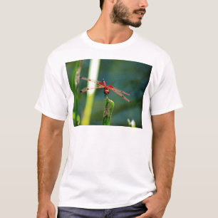 Frontal Red and Black Dragonfly T-Shirt