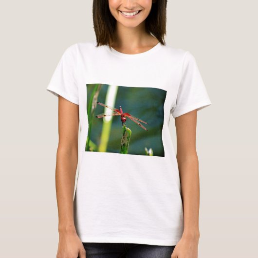 Frontal Red and Black Dragonfly T-Shirt (Vorderseite)
