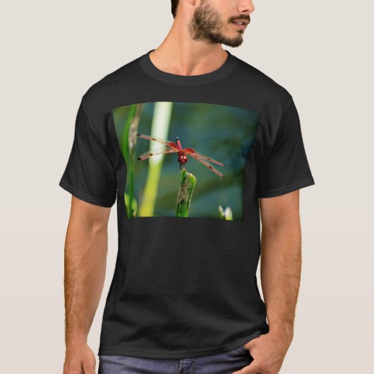 Frontal Red and Black Dragonfly T-Shirt (Vorderseite)