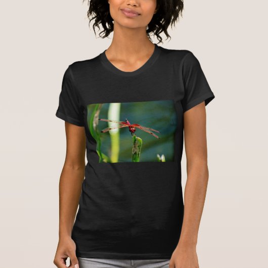 Frontal Red and Black Dragonfly T-Shirt (Vorderseite)