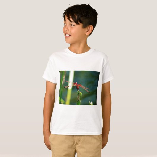 Frontal Red and Black Dragonfly T-Shirt (Vorne ganz)