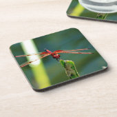 Frontal Red and Black Dragonfly Untersetzer (Linke Seite)