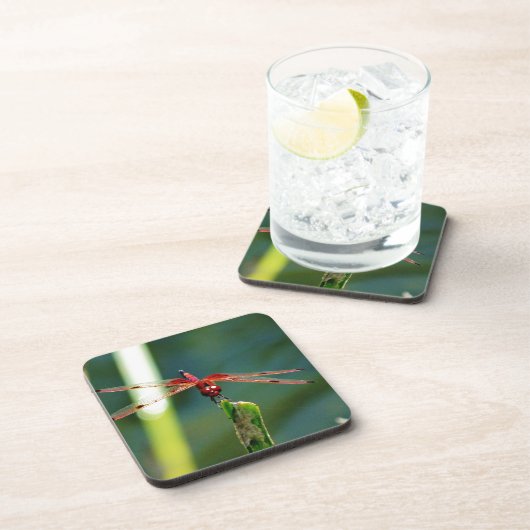 Frontal Red and Black Dragonfly Untersetzer (Rechte Seite)