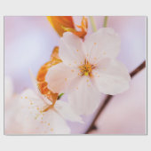 Frontalansicht der Sakura-Blume in der Frühjahrssa Geschenkpapier (Flach)