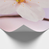 Frontalansicht der Sakura-Blume in der Frühjahrssa Geschenkpapier (Ecke)
