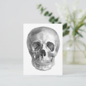 Frontalansicht zeichn eines menschlichen Schädels Postkarte (Stehend Vorderseite)