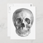 Frontalansicht zeichn eines menschlichen Schädels Postkarte (Vorne/Hinten)