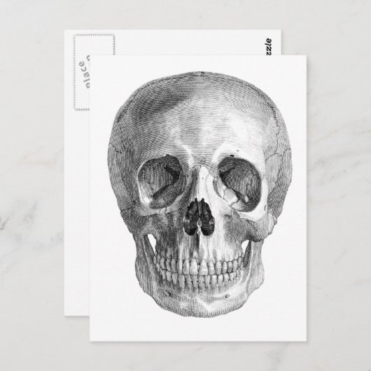 Frontalansicht zeichn eines menschlichen Schädels Postkarte (Vorne/Hinten)