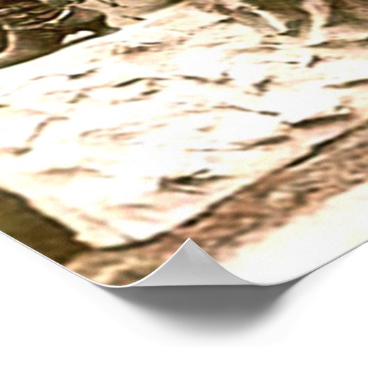 Frontier Woman of the American West Print Poster (Ecke)