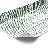 Frontispiece of 'Pedantius' Poster (Ecke)