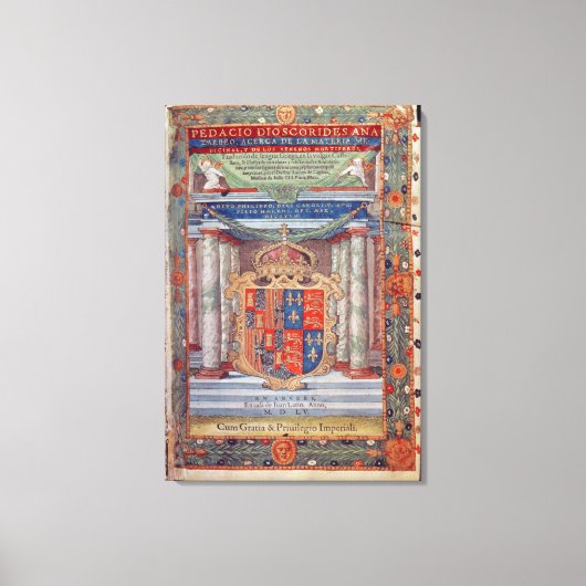 Frontispiece to Dioscorides Leinwanddruck (Vorderseite)