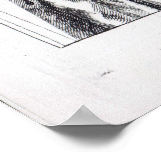 Frontispiece to 'Roxana, The Fortunion Poster (Ecke)