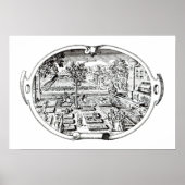 Frontispiece von 'The Herball', von John Gerard ( Poster (Vorne)