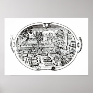 Frontispiece von 'The Herball', von John Gerard ( Poster