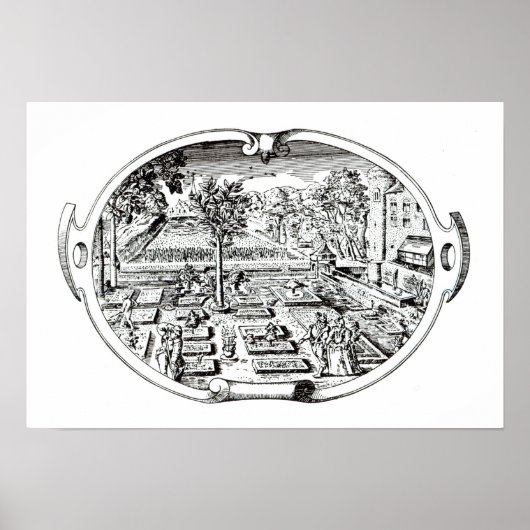 Frontispiece von 'The Herball', von John Gerard ( Poster (Vorne)