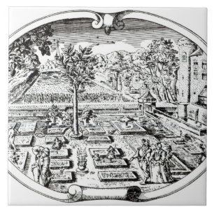 Frontispiz, "vom Herball", durch John Gerard ( Fliese