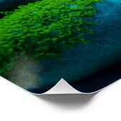 Frontosa Cichlid Plecostomus Aquarium Fisch Poster (Ecke)