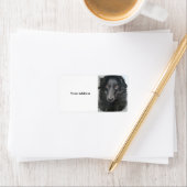 Frontseite Adressaufkleber (Insitu)