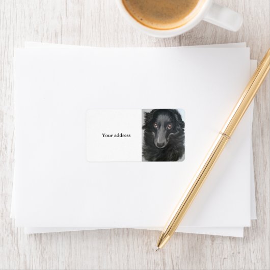 Frontseite Adressaufkleber (Insitu)