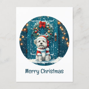 Frory Christmas Shih Tzu Dogs Postkarte