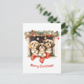 Frory Christmas Shih Tzu Dogs Postkarte (Stehend Vorderseite)