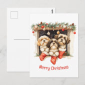 Frory Christmas Shih Tzu Dogs Postkarte (Vorne/Hinten)