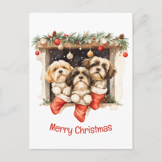 Frory Christmas Shih Tzu Dogs Postkarte (Vorderseite)