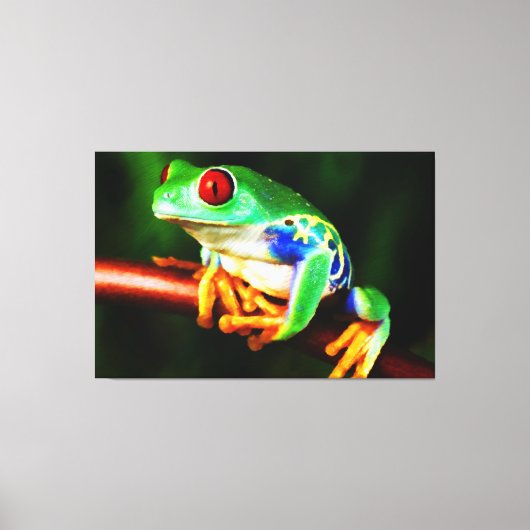 Frosch 1 gezackte Canvas Leinwanddruck (Vorderseite)