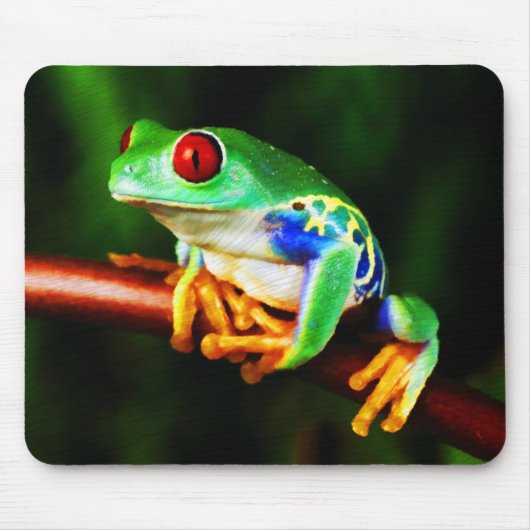 Frosch 1 Mousepad (Vorne)