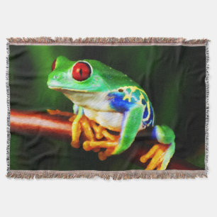 Frosch 1 wirbellose Stelle Decke