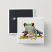 Frosch 2 button (Vorne & Hinten)